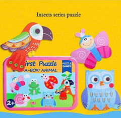 My first puzzle insects