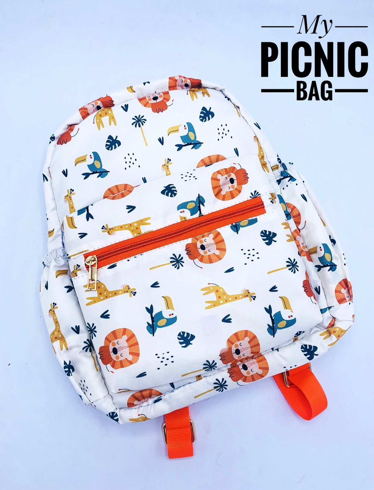 Picnic bag